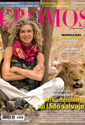 PRENSA-MRDF-7